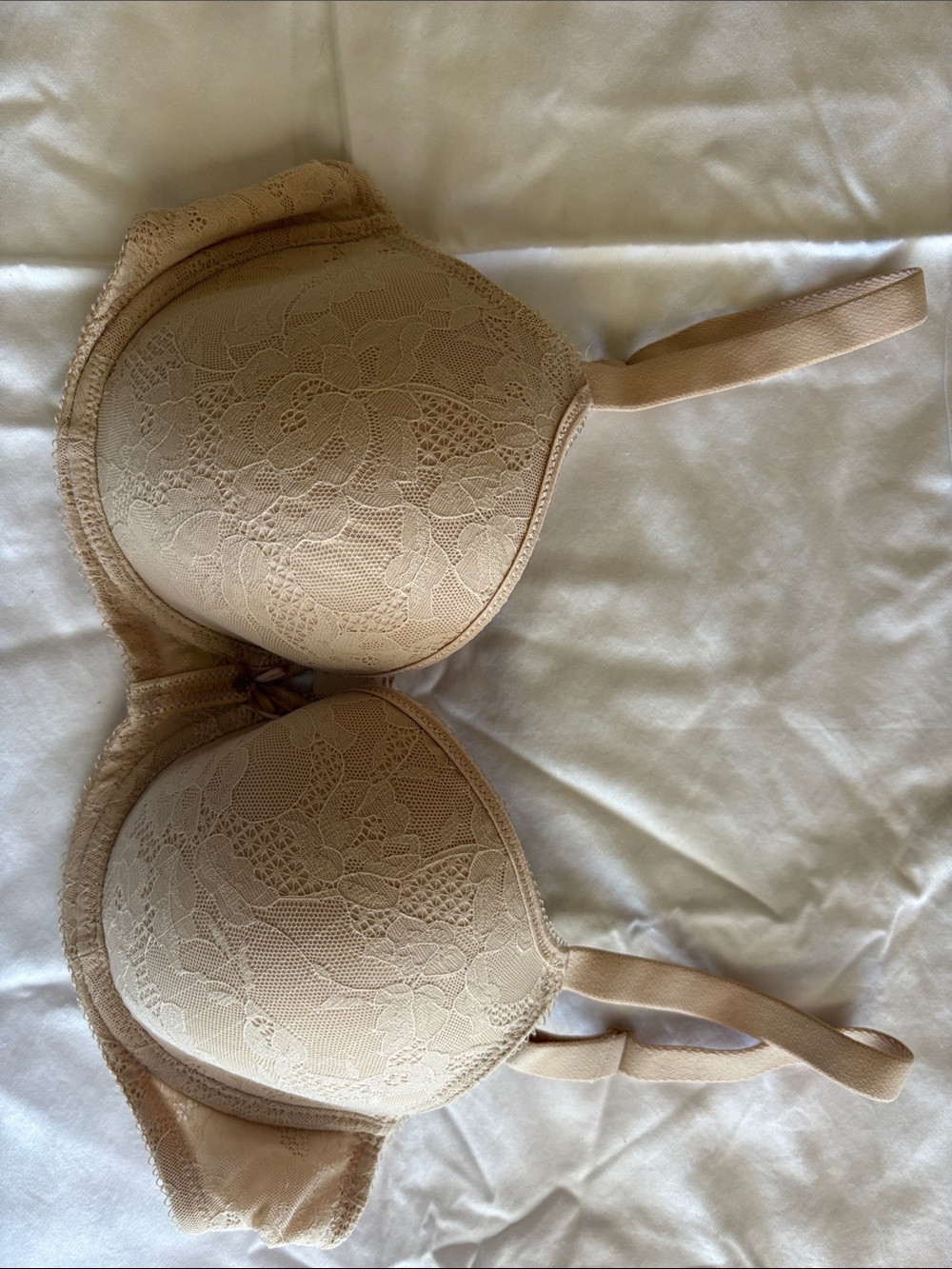 Everyday Lace Padded Bra in Beige